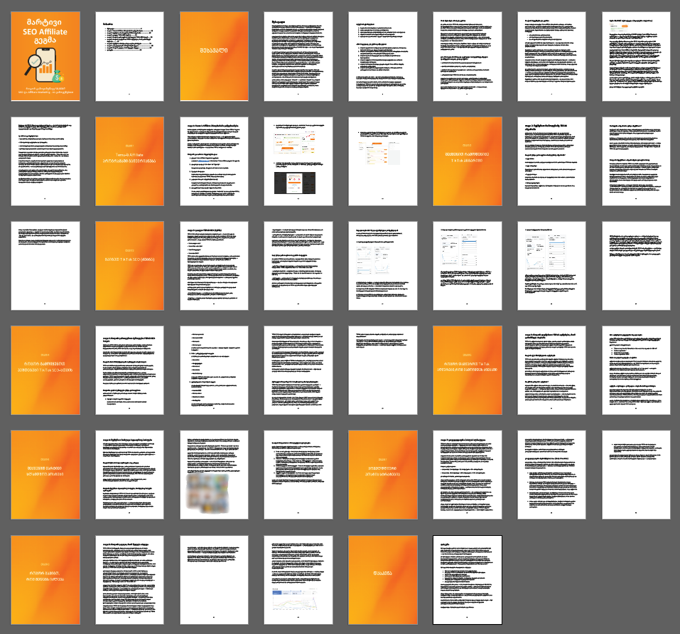 მარტივი SEO Affiliate გეგმა