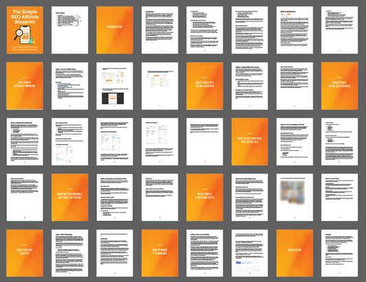 The Simple SEO Affiliate Blueprint